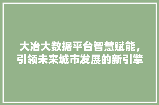 大冶大数据平台智慧赋能，引领未来城市发展的新引擎