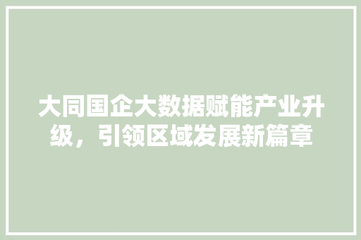 大同国企大数据赋能产业升级，引领区域发展新篇章