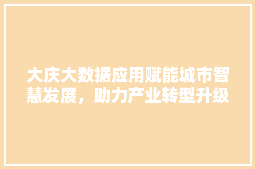 大庆大数据应用赋能城市智慧发展，助力产业转型升级