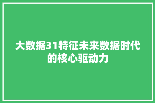 大数据31特征未来数据时代的核心驱动力