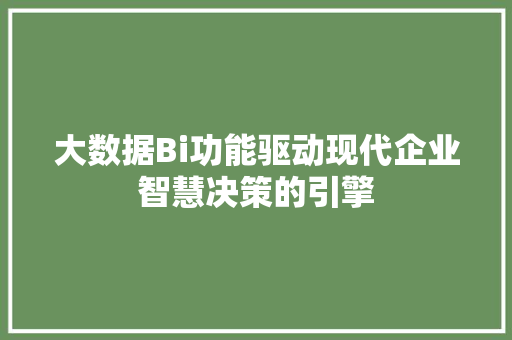 大数据Bi功能驱动现代企业智慧决策的引擎