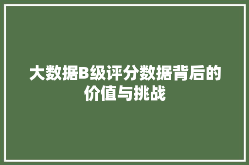 大数据B级评分数据背后的价值与挑战