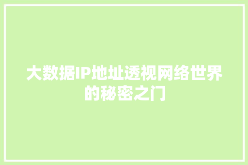 大数据IP地址透视网络世界的秘密之门 SEO教程