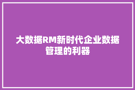 大数据RM新时代企业数据管理的利器