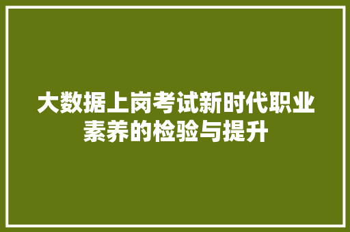 大数据上岗考试新时代职业素养的检验与提升