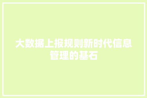 大数据上报规则新时代信息管理的基石