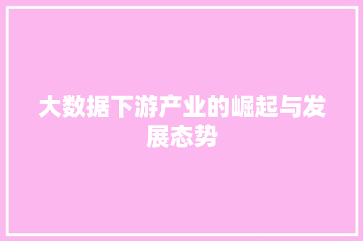 大数据下游产业的崛起与发展态势