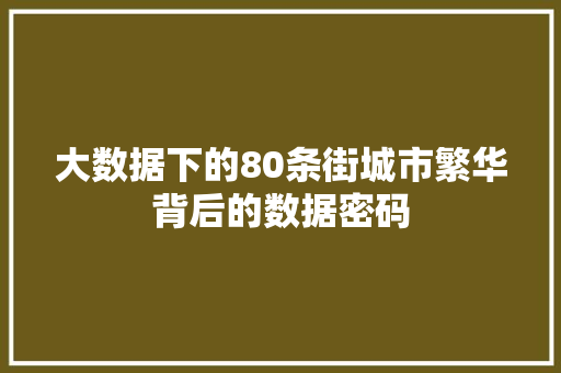 大数据下的80条街城市繁华背后的数据密码 友链在线