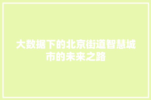 大数据下的北京街道智慧城市的未来之路