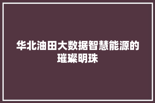 华北油田大数据智慧能源的璀璨明珠