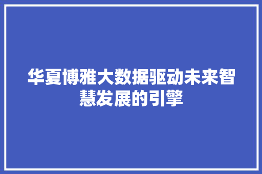 华夏博雅大数据驱动未来智慧发展的引擎