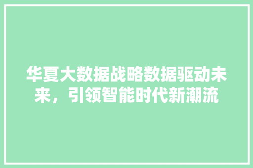 华夏大数据战略数据驱动未来，引领智能时代新潮流