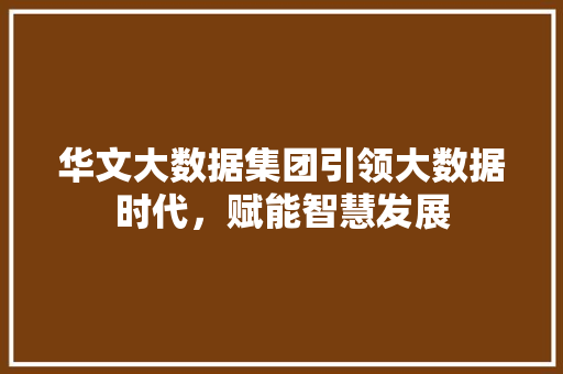 华文大数据集团引领大数据时代，赋能智慧发展