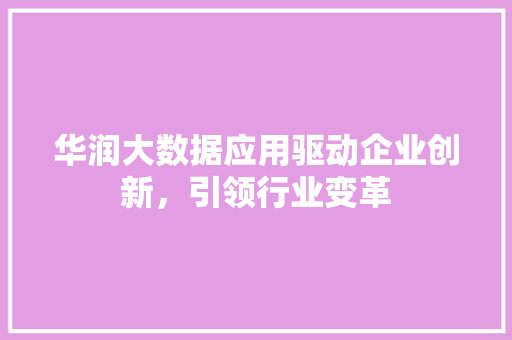 华润大数据应用驱动企业创新，引领行业变革