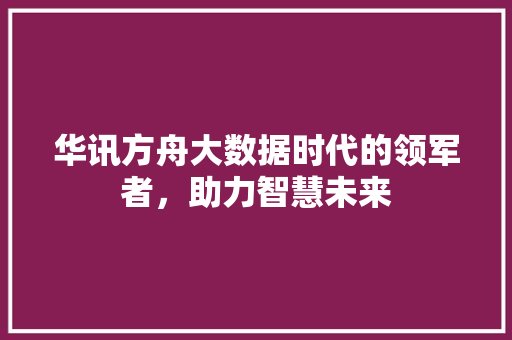 华讯方舟大数据时代的领军者，助力智慧未来