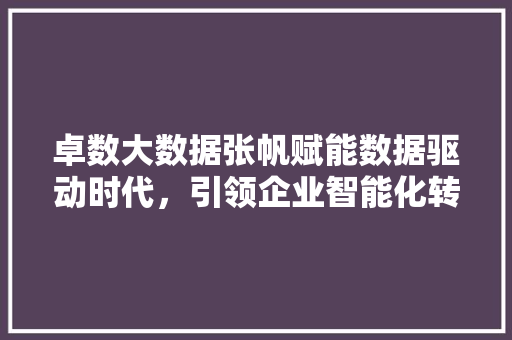 卓数大数据张帆赋能数据驱动时代，引领企业智能化转型
