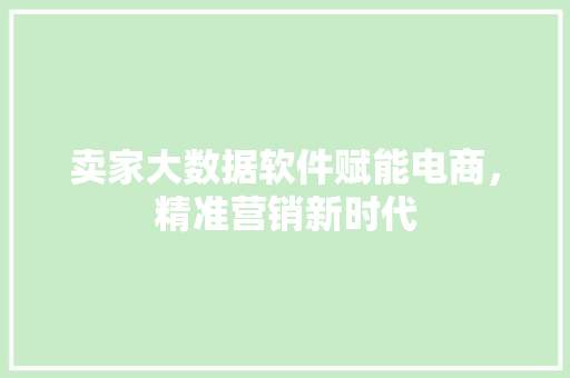 卖家大数据软件赋能电商，精准营销新时代