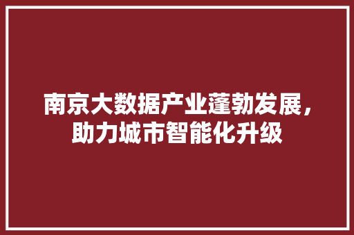 南京大数据产业蓬勃发展，助力城市智能化升级