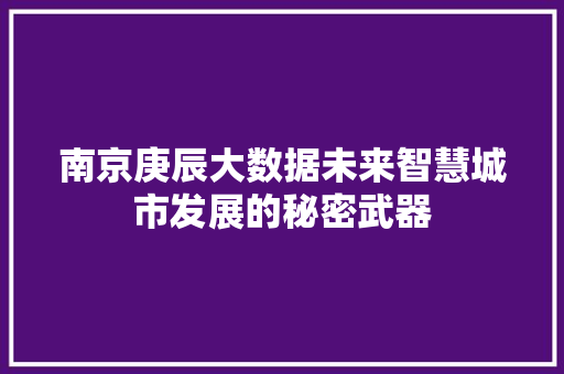 南京庚辰大数据未来智慧城市发展的秘密武器