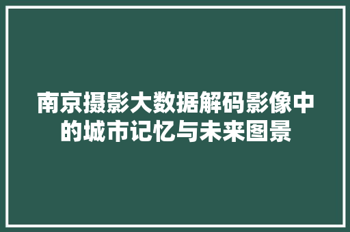 南京摄影大数据解码影像中的城市记忆与未来图景