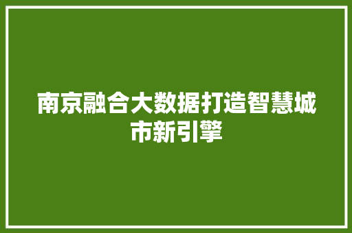 南京融合大数据打造智慧城市新引擎