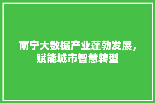 南宁大数据产业蓬勃发展，赋能城市智慧转型
