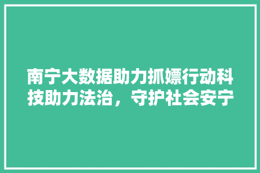南宁大数据助力抓嫖行动科技助力法治，守护社会安宁