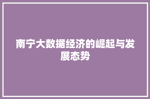 南宁大数据经济的崛起与发展态势