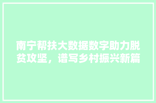 南宁帮扶大数据数字助力脱贫攻坚，谱写乡村振兴新篇章