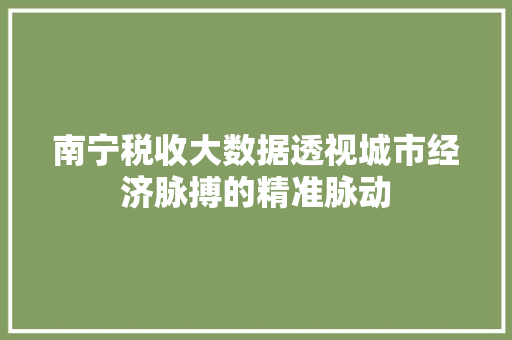 南宁税收大数据透视城市经济脉搏的精准脉动