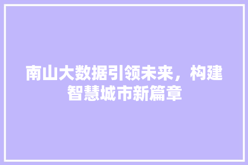 南山大数据引领未来，构建智慧城市新篇章