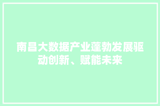 南昌大数据产业蓬勃发展驱动创新、赋能未来