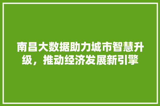 南昌大数据助力城市智慧升级，推动经济发展新引擎