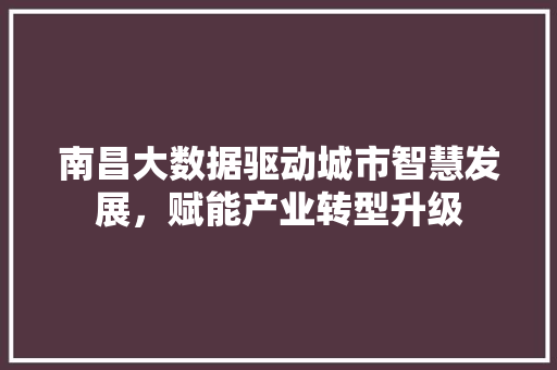 南昌大数据驱动城市智慧发展，赋能产业转型升级