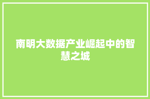 南明大数据产业崛起中的智慧之城