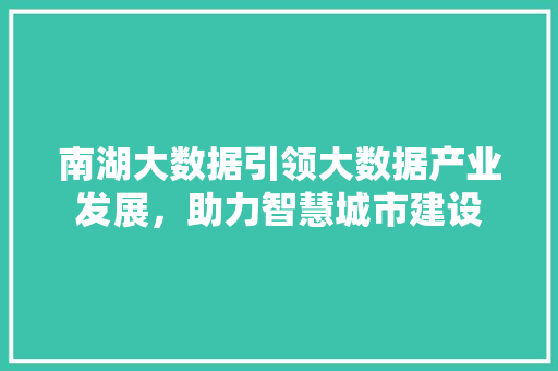 南湖大数据引领大数据产业发展，助力智慧城市建设