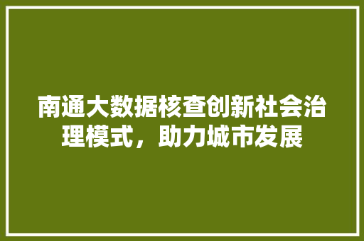 南通大数据核查创新社会治理模式，助力城市发展