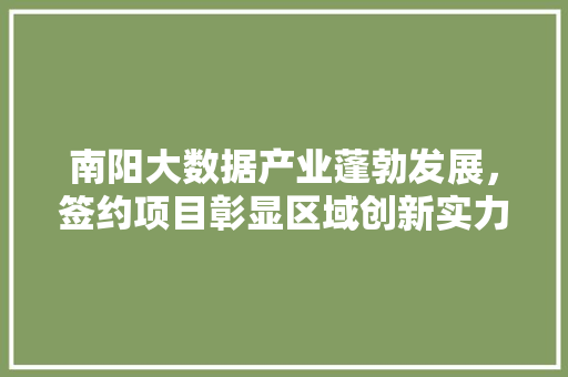 南阳大数据产业蓬勃发展，签约项目彰显区域创新实力