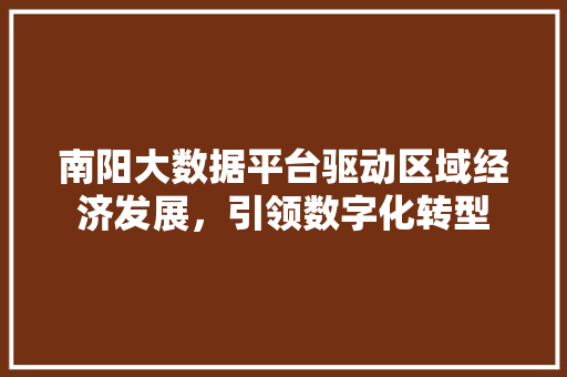 南阳大数据平台驱动区域经济发展，引领数字化转型