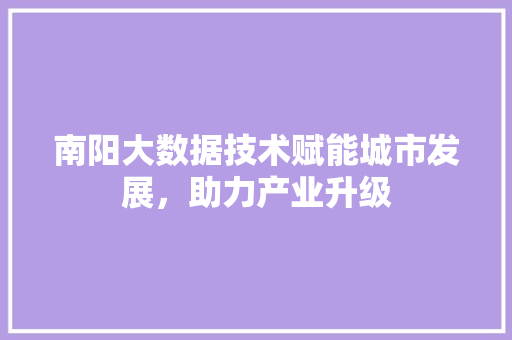 南阳大数据技术赋能城市发展，助力产业升级 Web前端