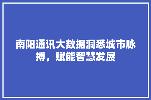 南阳通讯大数据洞悉城市脉搏，赋能智慧发展