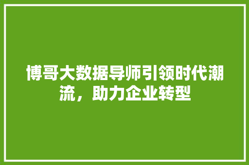 博哥大数据导师引领时代潮流，助力企业转型