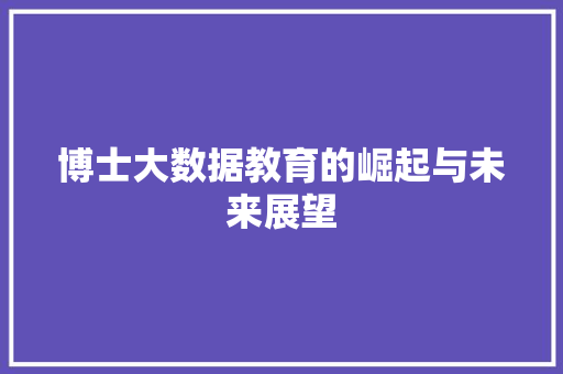 博士大数据教育的崛起与未来展望