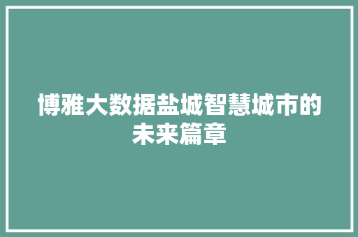 博雅大数据盐城智慧城市的未来篇章