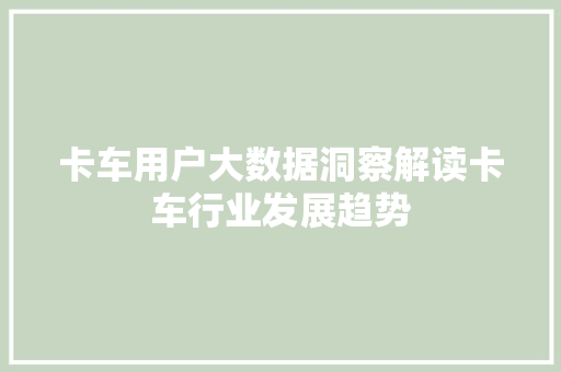 卡车用户大数据洞察解读卡车行业发展趋势