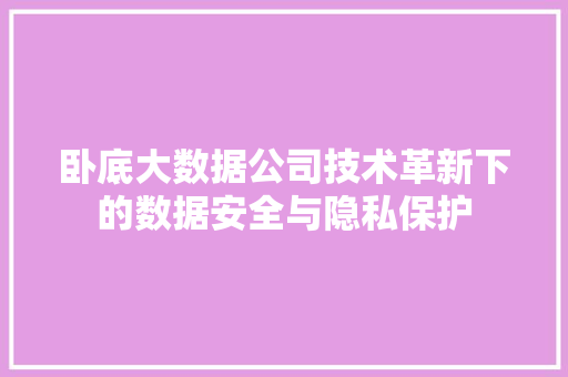 卧底大数据公司技术革新下的数据安全与隐私保护
