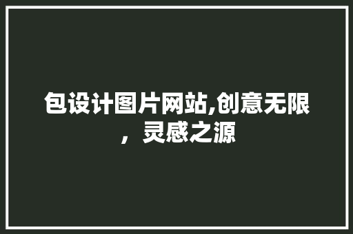 包设计图片网站,创意无限，灵感之源