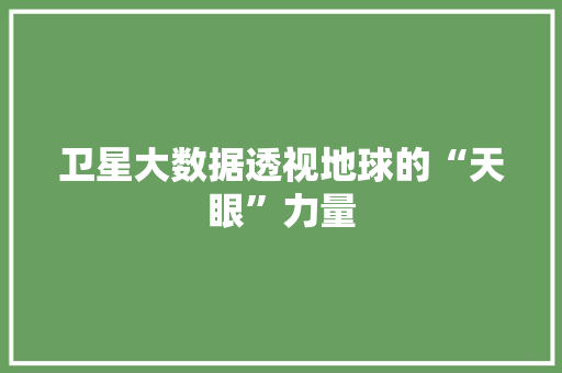 卫星大数据透视地球的“天眼”力量 WordPress教程