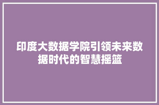 印度大数据学院引领未来数据时代的智慧摇篮