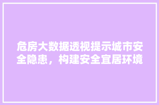 危房大数据透视提示城市安全隐患，构建安全宜居环境